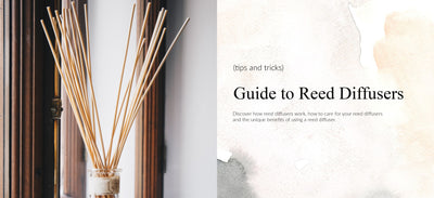 Everyday Guide to Reed Diffusers